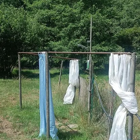 Into The Wild Brovello-Carpugnino