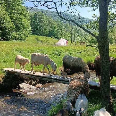 Into The Wild Brovello-Carpugnino