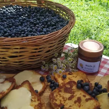 Into The Wild Parque de Campismo Brovello-Carpugnino