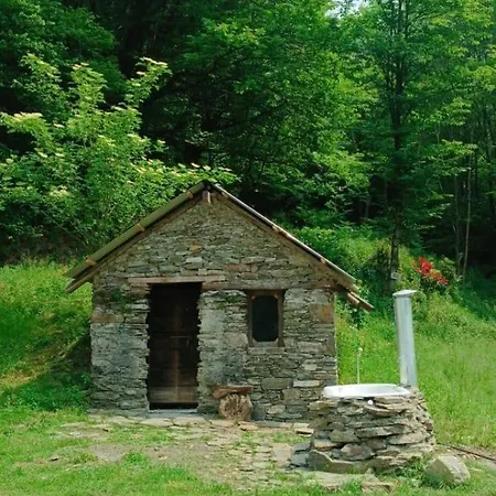 Into The Wild * Brovello-Carpugnino